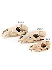 3D-printed fox skull for self-painting (16cm)